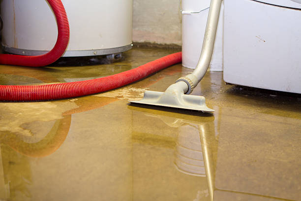 Best Residential water damage restoration  in Grasonville, MD