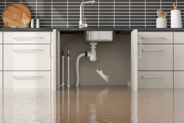 Best Local water damage restoration  in Grasonville, MD